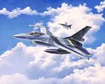 General Dynamics F-16 Mlu 100th Anniversary 1:72 revell REV03905