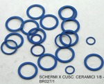 Serie schermi per cuscinetti bracing BR027-1