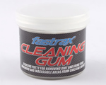 Cleaning Gum edmodellismo FAST02G