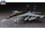 EA-18G Growler  1:48 hasegawa HASPT52