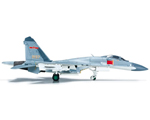 PLAAF Shenyang J-11 2nd Fighter Div 60th Anniversary 1:200 herpa HE555470