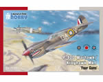 Curtiss P-40D Warhawk/Kittyhawk Mk.I Four Guns 1:72 hobbyspecial SH72367