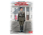 Polish Regiment Representative Officer 1:16 icm ICM16010