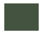 Colore acrilico Model Wash Dark Green (20 ml) italeri ITA4956AP