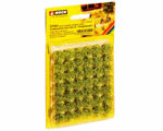 Cespugli di campo Verde XL 9 mm H0, TT, N, Z, 0, G noch NH07041