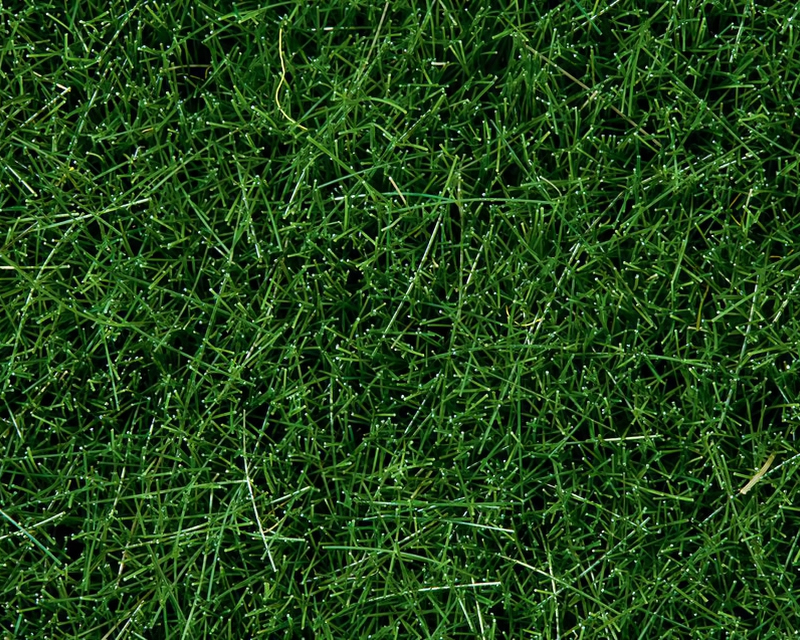 Barattolo erba Verde scuro 6 mm H0, TT, N, Z, 0, G noch NH07094