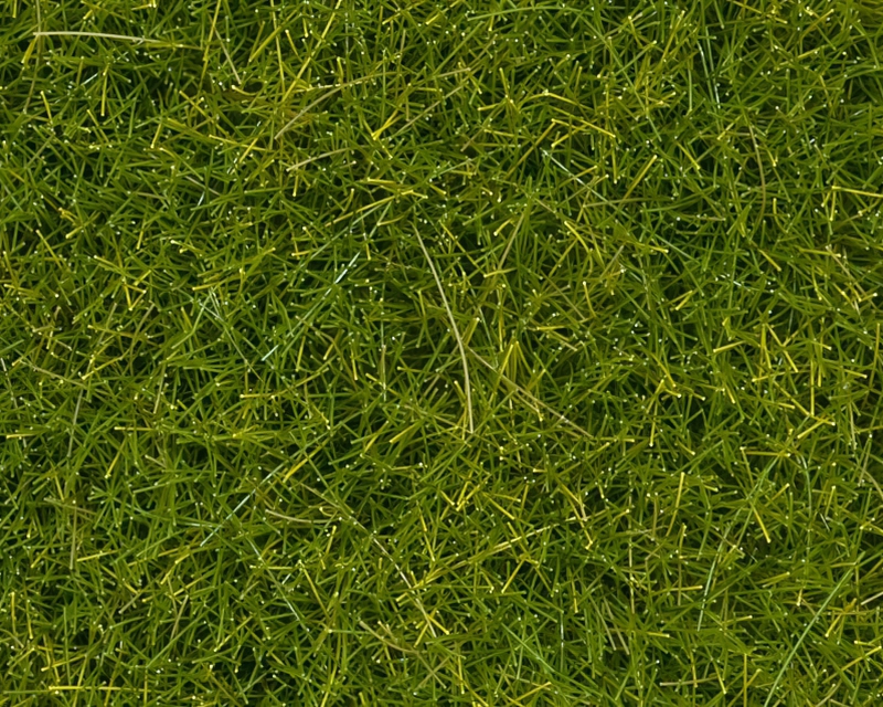 Barattolo erba Verde chiaro XL 12 mm H0, TT, N, Z, 0, G noch NH07097