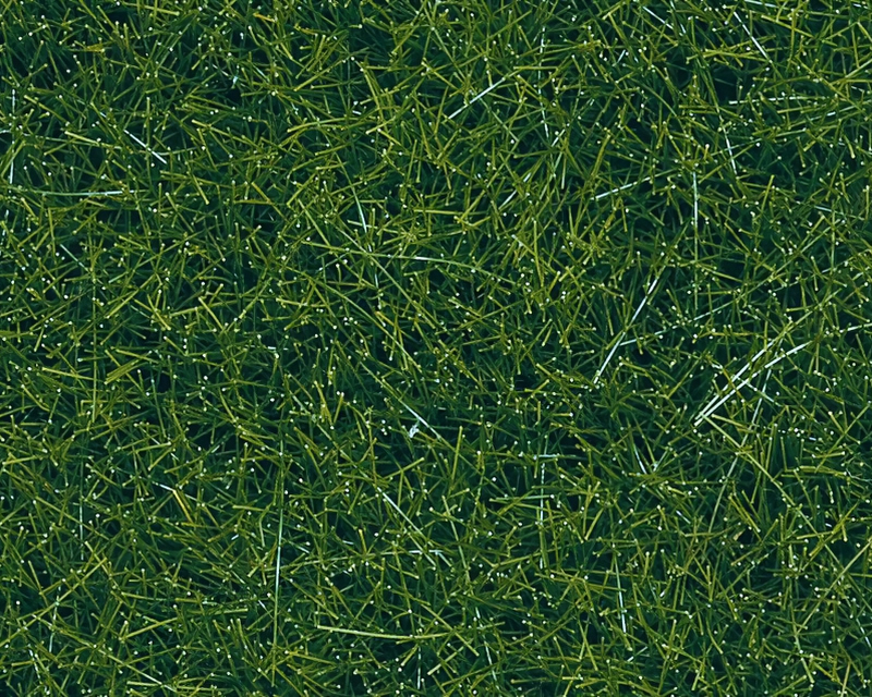 Barattolo erba Verde scuro XL 12 mm H0, TT, N, Z, 0, G noch NH07099