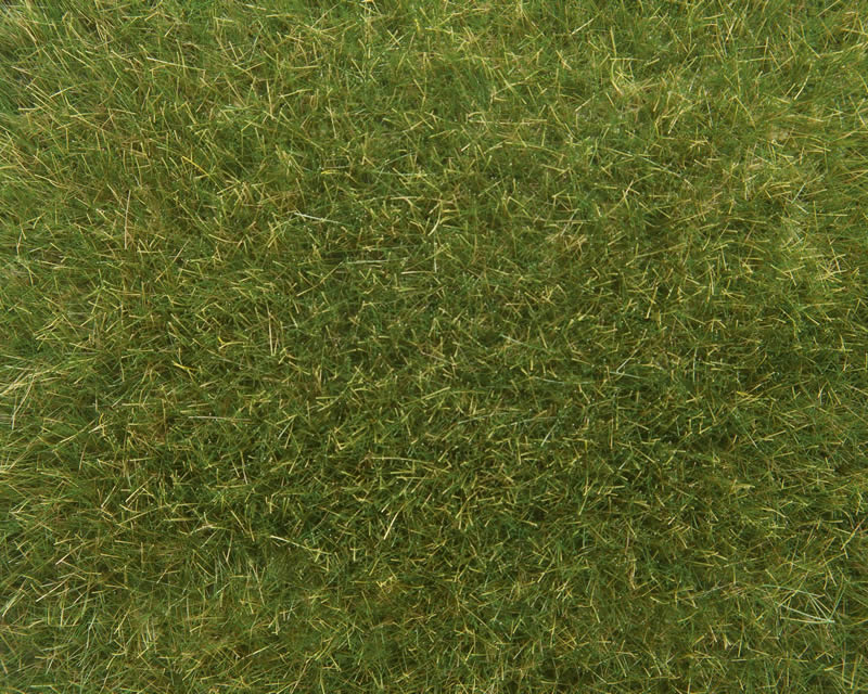 Erba selvatica Verde medio 9 mm H0, TT, 0 noch NH07118