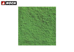 Fiocchi fini Verde chiaro 20 gr noch NH07202