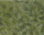 Fogliame Verde medio 12x18 cm H0, TT, N, Z, 0, G noch NH07250