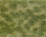 Fogliame Verde/Beige 12x18 cm H0, TT, N, Z, 0, G noch NH07253