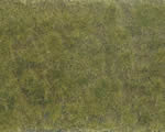 Fogliame Verde/Marrone 12x18 cm H0, TT, N, Z, 0, G noch NH07254
