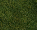 Fogliame erba selvatica Verde chiaro 200x230 mm noch NH07280