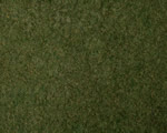 Fogliame erba selvatica Verde scuro 200x230 mm noch NH07281