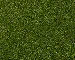 Fogliame frondoso Verde medio 200x230 mm noch NH07300