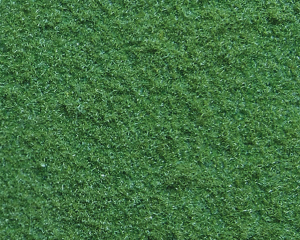 Fiocchi Verde chiaro 3 mm 20 gr G-0-H0-TT-N-Z noch NH07331