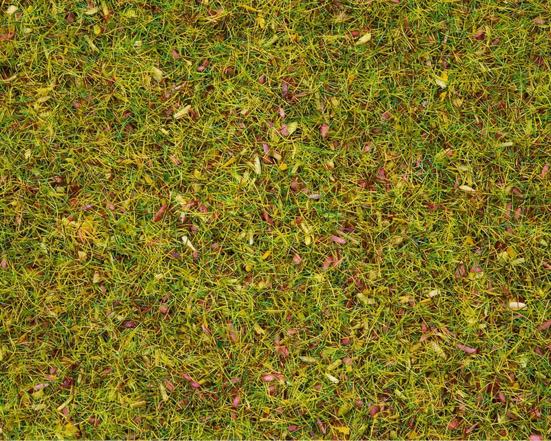 Barattolo erba prato fiorito 2,5 mm H0, TT, N, Z, 0, G noch NH08155