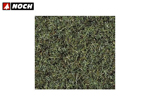 Sacchetto prato Verde palude 20 gr noch NH08320