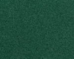 Erba Verde scuro 2,5 mm 20 gr G-0-H0-TT-N-Z noch NH08321