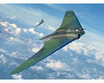 Horten Go229 A 1:48 revell REV03859