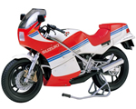 Suzuki RG250 w/full options kit 1:12 tamiya TA14029