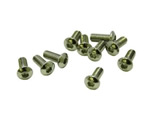 Vite M3x6 mm testa bombata (10 pz) ultimate UR162306