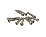 Vite M3x16 mm testa bombata (10 pz) ultimate UR162316