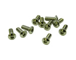 Vite M4x6 mm testa bombata (10 pz) ultimate UR162406