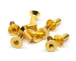 Viti in acciaio grado 12,9 placcate Oro 24k testa svasata 3x6 mm (10 pz) yeahracing SHF-306GD